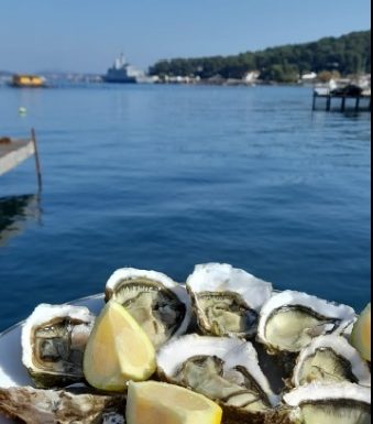 Les fermes marines de Tamaris