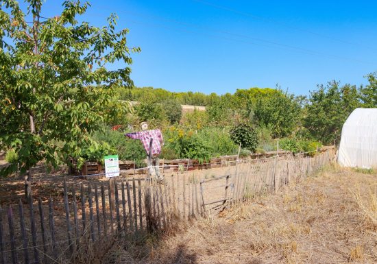 Cabanon des vignes