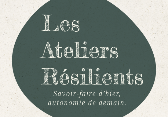 Ateliers Création de bougies naturelles à la cire d’abeille