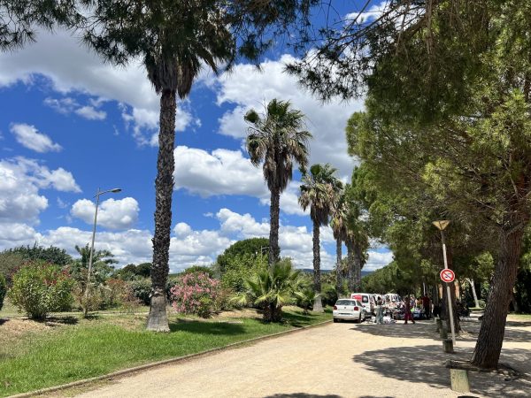 Vide grenier de la Rambla