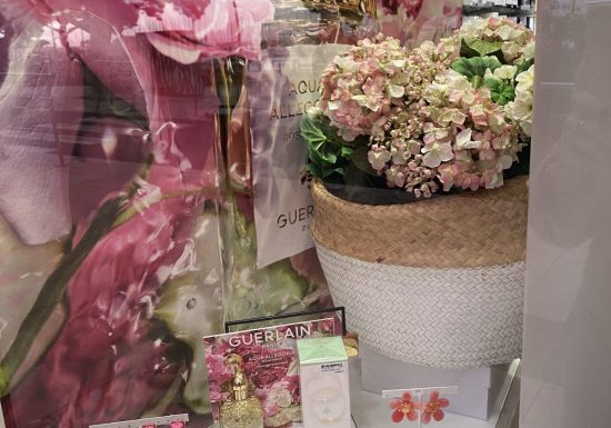 Parfumerie Dominique