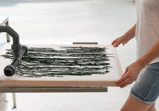 Algazur – Spiruline de la Ferme d’Alon