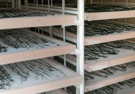 Algazur – Spiruline de la Ferme d’Alon