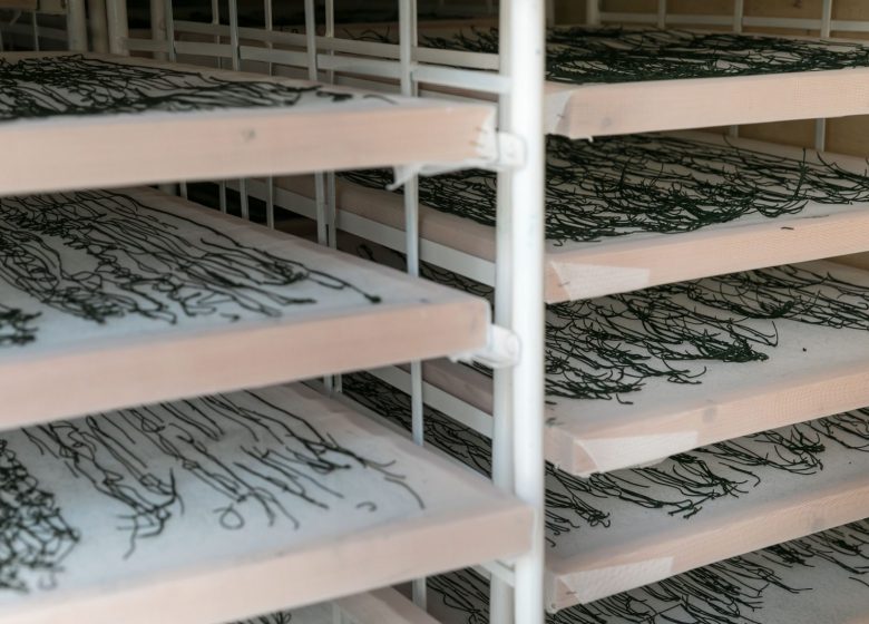 Algazur – Spiruline de la Ferme d’Alon