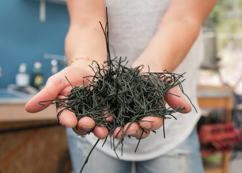 Algazur – Spiruline de la Ferme d’Alon