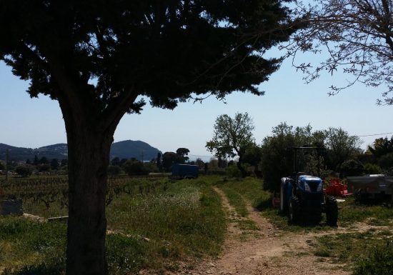 Domaine la Chrétienne