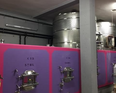 Insolite Wine Tour: Visite apéritive