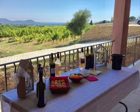 Insolite Wine Tour: Visite apéritive