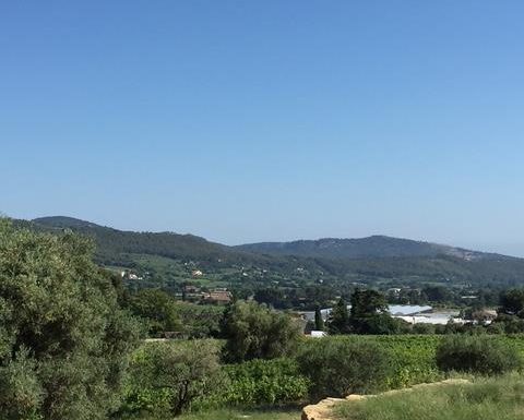 Insolite Wine Tour: Visite apéritive