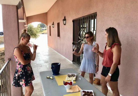 Insolite Wine Tour: Visite apéritive