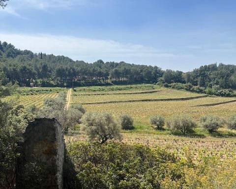 Insolite Wine Tour: Sur les traces de Don Bosco