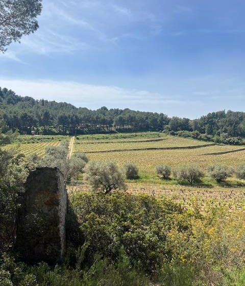 Insolite Wine Tour: Sur les traces de Don Bosco