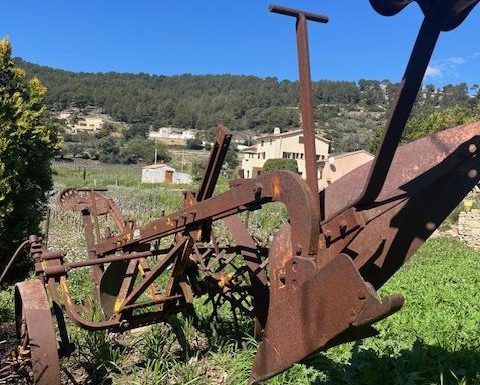 Insolite Wine Tour: Sur les traces de Don Bosco