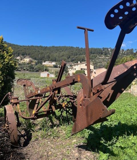 Insolite Wine Tour: Sur les traces de Don Bosco