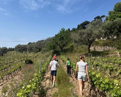 Insolite Wine Tour: Sur les traces de Don Bosco