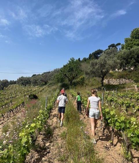 Insolite Wine Tour: Sur les traces de Don Bosco