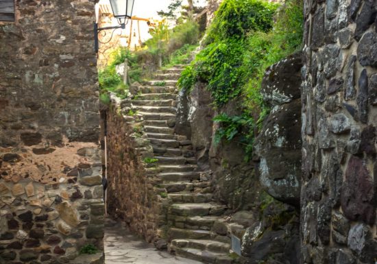 Hilios Tours : Trésors de Provence