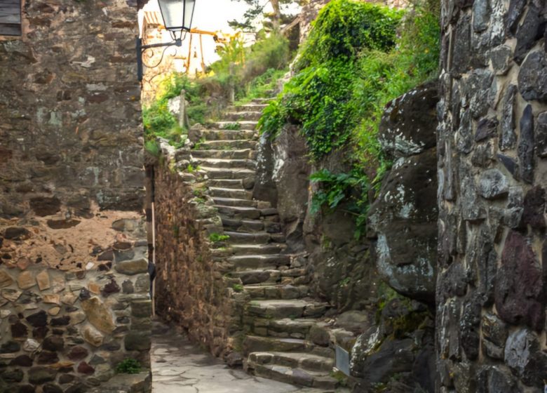 Hilios Tours : Trésors de Provence