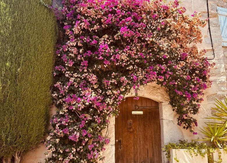 Hilios Tours : Escapade provençale