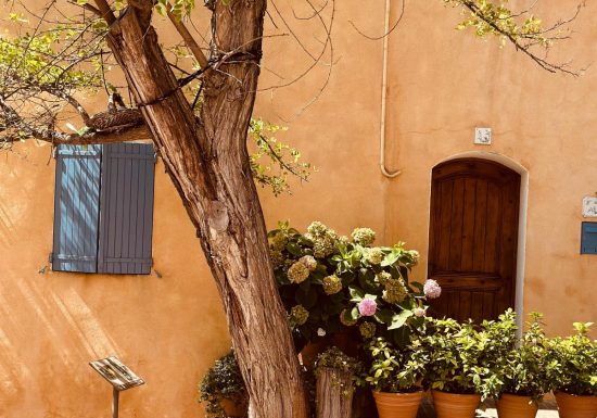 Hilios Tours : Escapade provençale