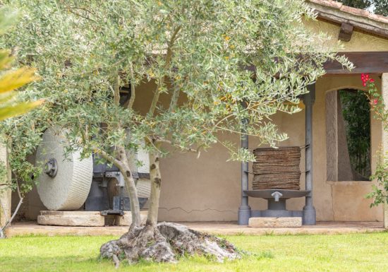 Hilios Tours: Demi-journée découverte avec guide au départ de Bandol