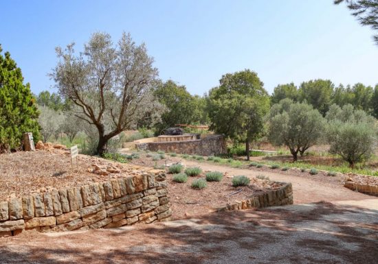 Hilios Tours: Demi-journée découverte avec guide au départ de Bandol