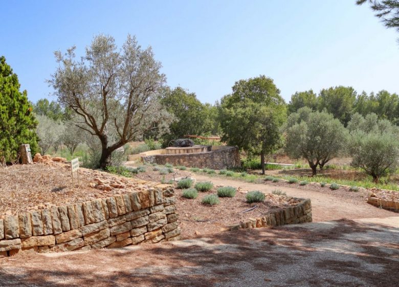 Hilios Tours: Demi-journée découverte avec guide au départ de Bandol