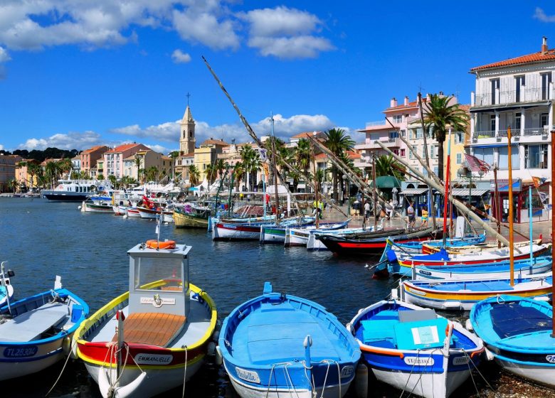 Hilios Tours: Demi-journée découverte avec guide au départ de Bandol