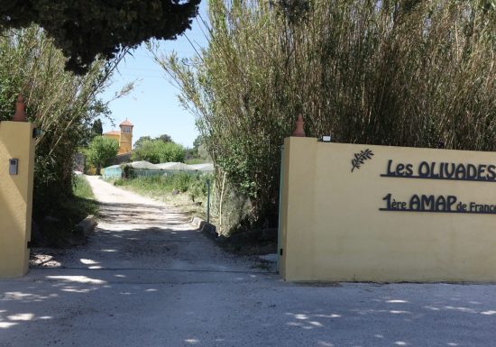 La Ferme des Olivades