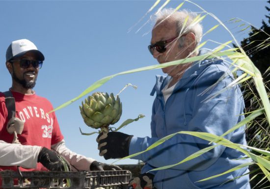 La Ferme des Olivades