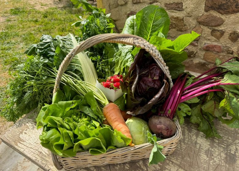 La Ferme des Olivades