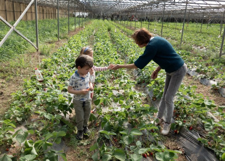 La Ferme des Olivades