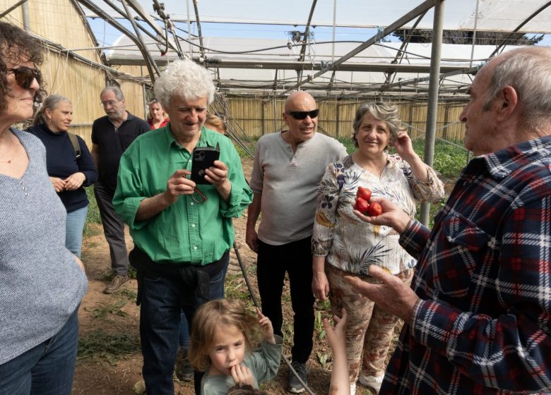 La Ferme des Olivades