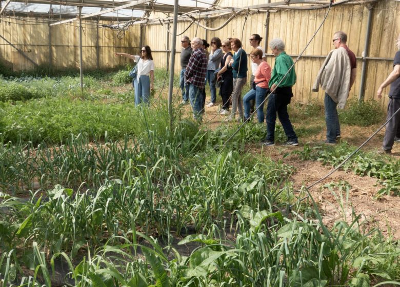 La Ferme des Olivades