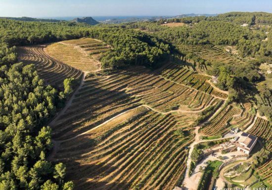 Domaine La Font des Pères