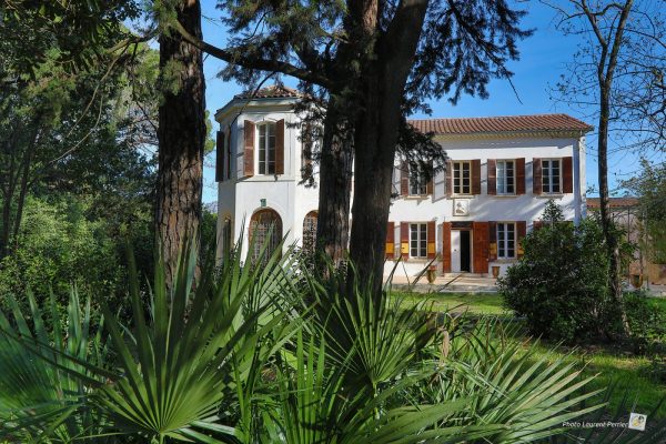 Spectacle « Cicadaë » au MAB – JEP 2025