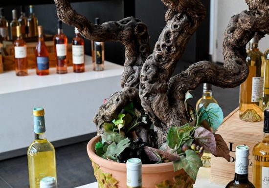 Oenothèque de Bandol