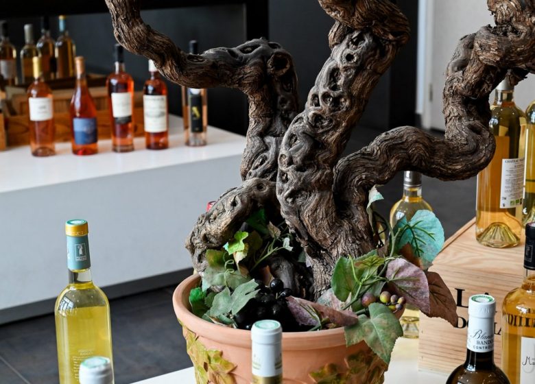 Oenothèque de Bandol