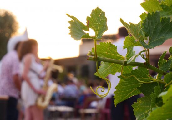 Festival Street Food et dégustations