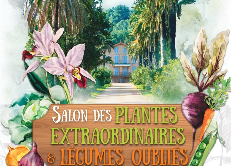 Salon des plantes extraordinaires et légumes oubliés