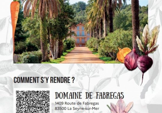 Salon des plantes extraordinaires et légumes oubliés