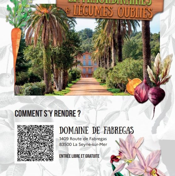 Salon des plantes extraordinaires et légumes oubliés