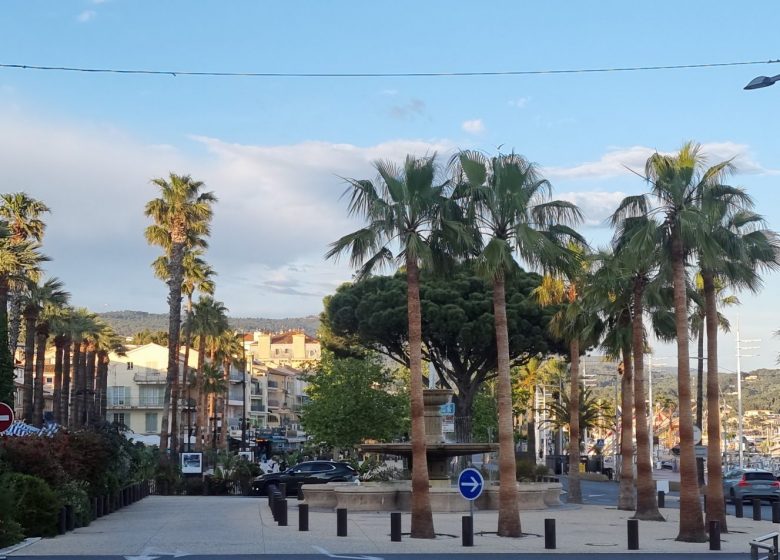 Ferry-Morice Martine