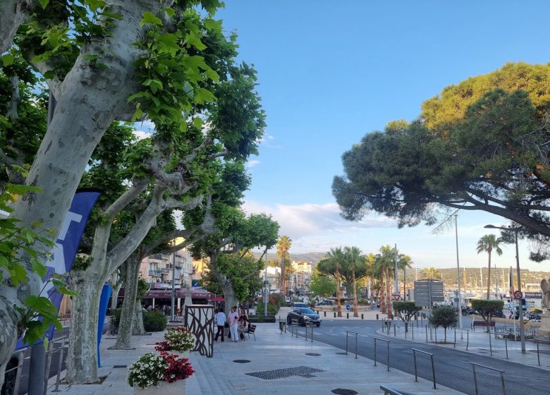 Ferry-Morice Martine