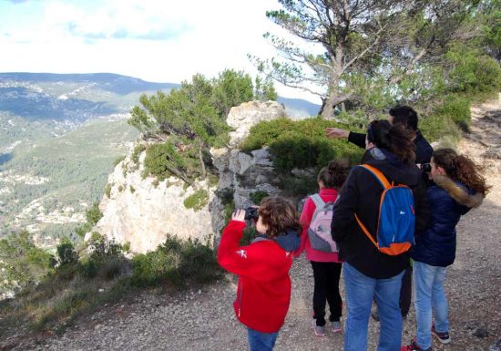 Les petits aventuriers de la forêt