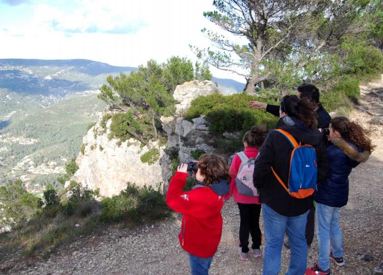 Les petits aventuriers de la forêt