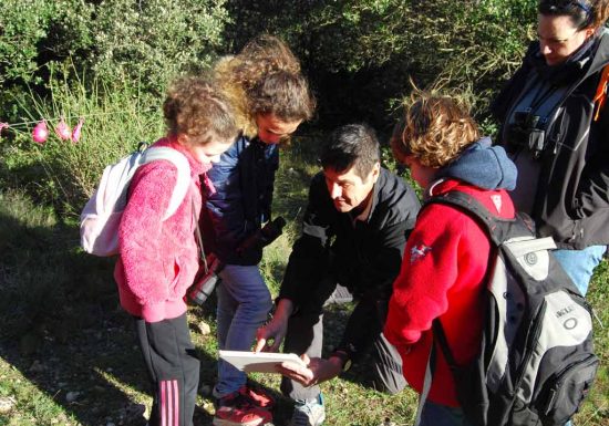 Les petits aventuriers de la forêt