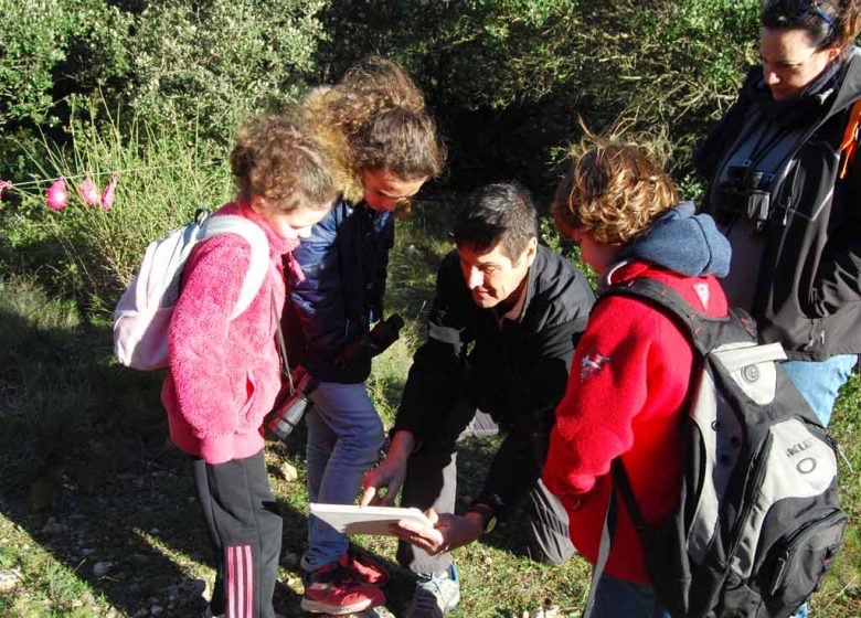 Les petits aventuriers de la forêt
