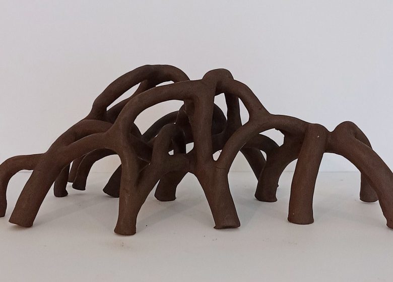 Cours et stages de céramique