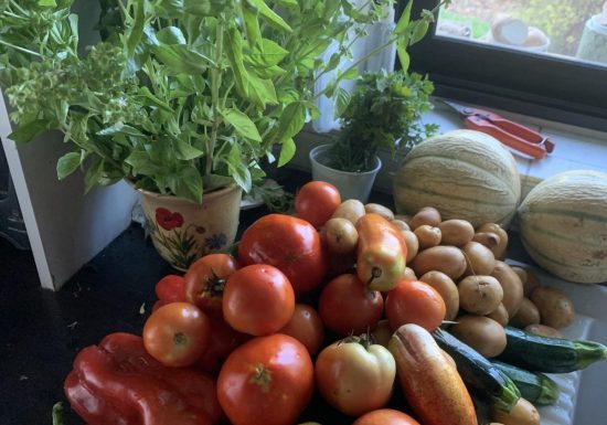 Amap La Seyne sur Mer